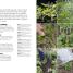 Thumbnail image of Allotment Through the Year - 1