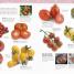 Cooking Through the Year - thumbnail of spread image 4 Thumbnail image of Cooking Through the Year - 4