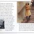 The Story of Anne Frank - thumbnail of spread image 3 Thumbnail image of The Story of Anne Frank - 3