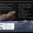 Survivors The Night the Titanic Sank - thumbnail of spread image 3 Thumbnail image of Survivors The Night the Titanic Sank - 3