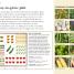 Thumbnail image of Small Plot Fruit and Vegetable Gardening - 2