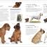 Thumbnail image of The Dog Encyclopedia - 3