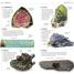 Thumbnail image of Whats that Rock or Mineral - 4