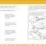 Thumbnail image of DK Workbooks: Science, Kindergarten - 1