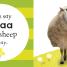 Baby Cheep! Cheep! - thumbnail of spread image 1 Thumbnail image of Baby Cheep! Cheep! - 1