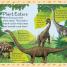 DK Readers L2: Dinosaur Dinners - thumbnail of spread image 2 Thumbnail image of DK Readers L2: Dinosaur Dinners - 2
