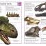 The Big Book of Dinosaurs - thumbnail of spread image 3 Thumbnail image of The Big Book of Dinosaurs - 3