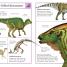 The Big Book of Dinosaurs - thumbnail of spread image 4 Thumbnail image of The Big Book of Dinosaurs - 4
