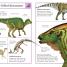 Thumbnail image of The Big Book of Dinosaurs - 4