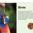 Pocket Genius: Animals - thumbnail of spread image 1 Thumbnail image of Pocket Genius: Animals - 1