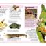 Pocket Genius: Animals - thumbnail of spread image 2 Thumbnail image of Pocket Genius: Animals - 2