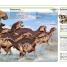 Pocket Genius Dinosaurs - thumbnail of spread image 4 Thumbnail image of Pocket Genius Dinosaurs - 4