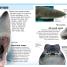 Thumbnail image of Pocket Genius: Sharks - 1