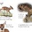 Thumbnail image of DK Readers L2: Wild Baby Animals - 1
