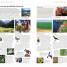 DK Bulgaria - thumbnail of spread image 2 Thumbnail image of DK Bulgaria - 2