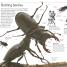 Thumbnail image of DK Eyewitness Books: Insect - 2