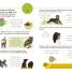 Thumbnail image of Visual Guide to Grammar and Punctuation - 3