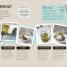 Sprouted! - thumbnail of spread image 2 Thumbnail image of Sprouted! - 2