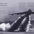 Flight - thumbnail of spread image 1 Thumbnail image of Flight - 1