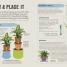 How Not to Kill Your Houseplant - thumbnail of spread image 1 Thumbnail image of How Not to Kill Your Houseplant - 1