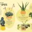 How Not to Kill Your Houseplant - thumbnail of spread image 2 Thumbnail image of How Not to Kill Your Houseplant - 2