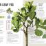 How Not to Kill Your Houseplant - thumbnail of spread image 3 Thumbnail image of How Not to Kill Your Houseplant - 3