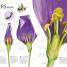 Explanatorium of Nature - thumbnail of spread image 1 Thumbnail image of Explanatorium of Nature - 1