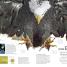 Explanatorium of Nature - thumbnail of spread image 3 Thumbnail image of Explanatorium of Nature - 3