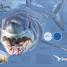 Explanatorium of Nature - thumbnail of spread image 7 Thumbnail image of Explanatorium of Nature - 7