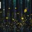 Explanatorium of Nature - thumbnail of spread image 8 Thumbnail image of Explanatorium of Nature - 8