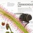 Explanatorium of Nature - thumbnail of spread image 9 Thumbnail image of Explanatorium of Nature - 9