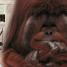 Animal - thumbnail of spread image 7 Thumbnail image of Animal - 7