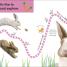 Thumbnail image of Follow the Trail: Baby Animals - 2