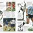 Thumbnail image of DK Eyewitness Books: Soccer - 7