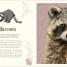 Thumbnail image of An Anthology of Intriguing Animals - 5