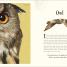 Thumbnail image of An Anthology of Intriguing Animals - 7