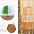 Secretos de la naturaleza (Explanatorium of Nature) - thumbnail of spread image 1 Thumbnail image of Secretos de la naturaleza (Explanatorium of Nature) - 1