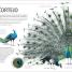 Secretos de la naturaleza (Explanatorium of Nature) - thumbnail of spread image 4 Thumbnail image of Secretos de la naturaleza (Explanatorium of Nature) - 4