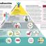 Cómo funciona la psicología (How Psychology Works) - thumbnail of spread image 4 Thumbnail image of Cómo funciona la psicología (How Psychology Works) - 4