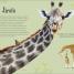 Antología de animales extraordinarios (An Anthology of Intriguing Animals) - thumbnail of spread image 1 Thumbnail image of Antología de animales extraordinarios (An Anthology of Intriguing Animals) - 1