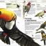 Animales (Knowledge Encyclopedia Animal!) - thumbnail of spread image 2 Thumbnail image of Animales (Knowledge Encyclopedia Animal!) - 2