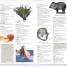 Merriam-Webster Children's Dictionary - thumbnail of spread image 5 Thumbnail image of Merriam-Webster Children's Dictionary - 5