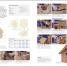 Woodworking - thumbnail of spread image 4 Thumbnail image of Woodworking - 4