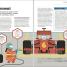 How Management Works - thumbnail of spread image 2 Thumbnail image of How Management Works - 2