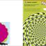 Ilusiones visuales increíbles (Optical Illusions 2) - thumbnail of spread image 2 Thumbnail image of Ilusiones visuales increíbles (Optical Illusions 2) - 2