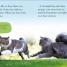 DK Reader Level 2: Cats and Kittens - thumbnail of spread image 2 Thumbnail image of DK Reader Level 2: Cats and Kittens - 2