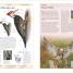 Thumbnail image of Birds of Canada 2nd Edition - 1