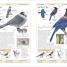 Thumbnail image of Birds of Canada 2nd Edition - 2