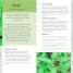 Straw Bale Gardening - thumbnail of spread image 3 Thumbnail image of Straw Bale Gardening - 3