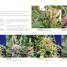 Growing Marijuana - thumbnail of spread image 1 Thumbnail image of Growing Marijuana - 1